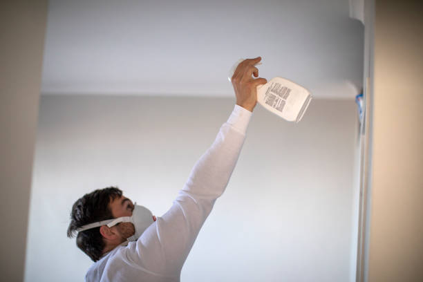 Best Best Mold Removal Companies  in Terre Hill, PA