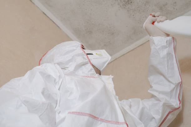 Professional Mold Removal in Terre Hill, PA